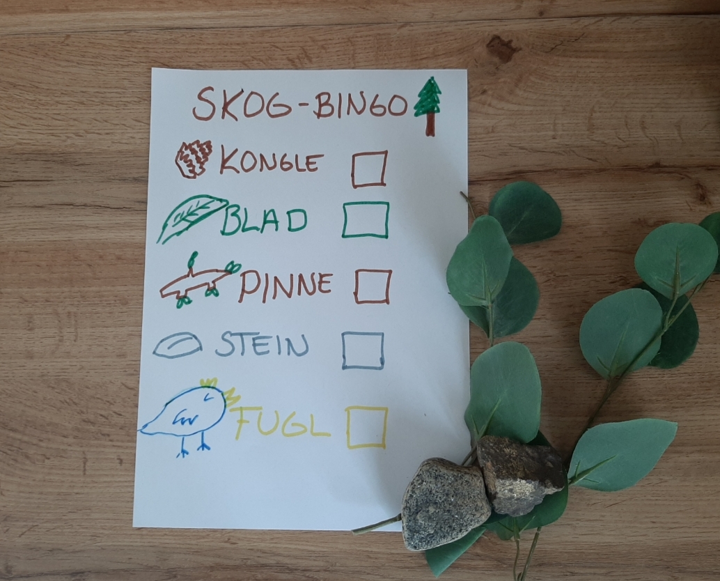 Bilde Bingo i skogen! - 1