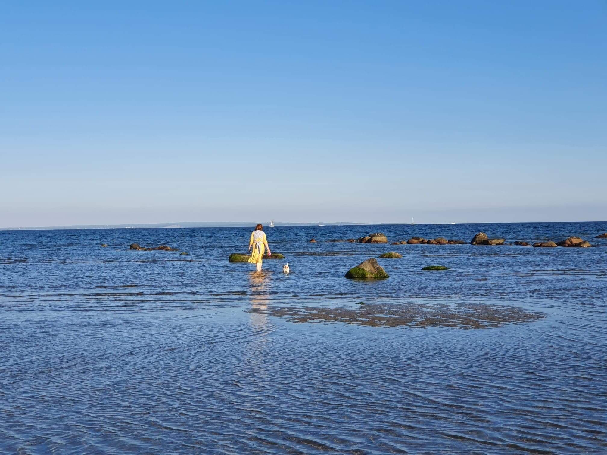 Skallevoldstranden