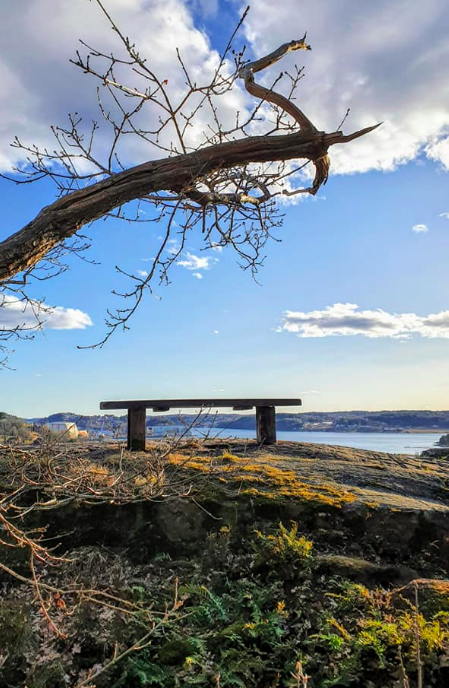 Bilde Familieutflukt til Frodeåsen- med mulighet til frisbeegolf! - 1