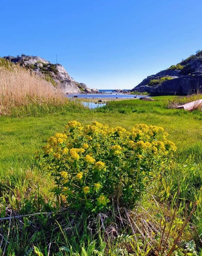 Picture Tjøme sentrum: Bekkevika - Skrålevika - Dirhue - Barkevika - Gon - 1