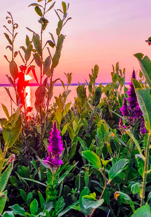 Bilde Piknik på Moutmarka - 1