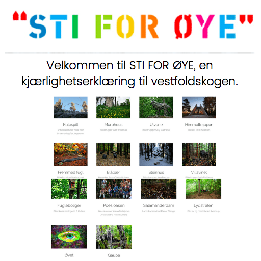 Bilde Sti for øye- Stokke - 1