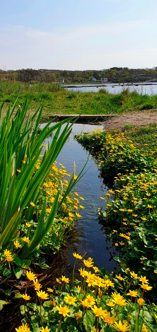 Bilde Hvasser rundt- Pirane Naturreservat - 1