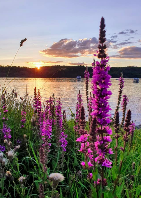 Bilde På tur fra Hellastranda til Øra Camping - 1