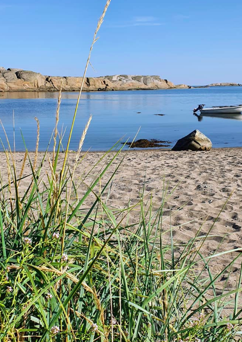 Image SØNSTEGÅRD friområde/strand - Hvasser  - 1