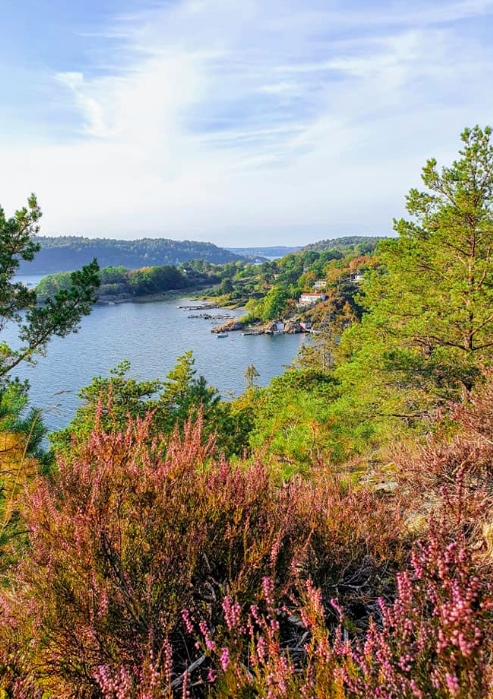 Bilde Kyststi fra Fuglevika til Tenvik. - 1