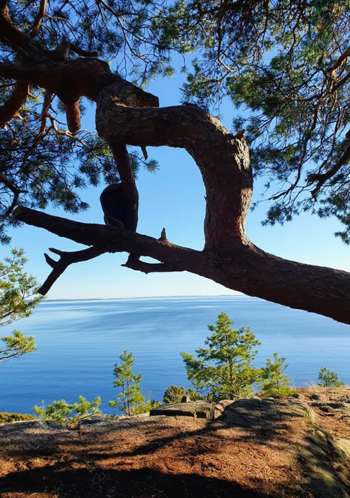 Essoskogen og Karlsvika! 