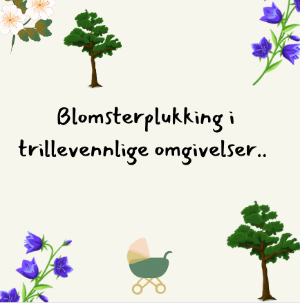 Picture Blomsterplukking og trilletur - 1