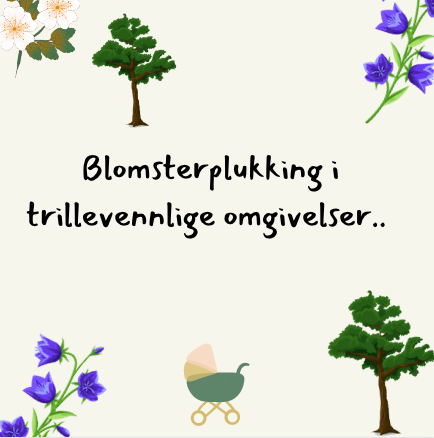 Blomsterplukking og trilletur