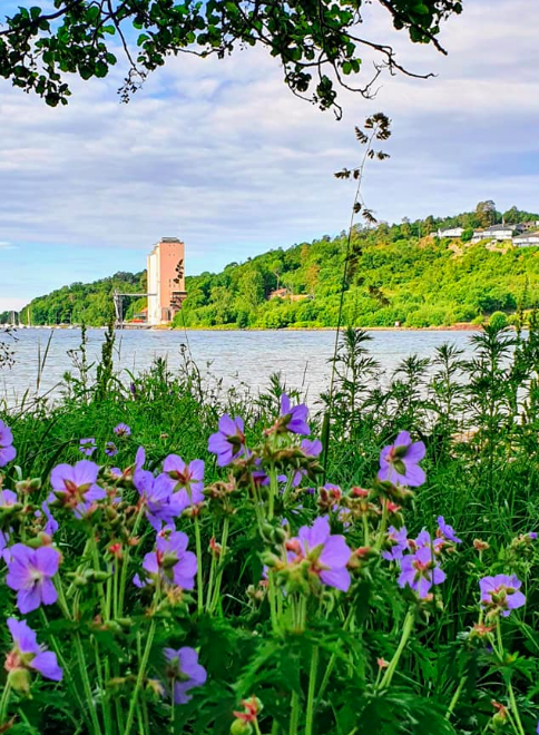 Utforsk Trælsodden og Tønsbergfjorden!