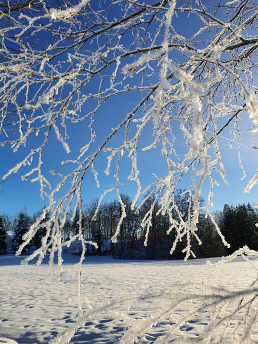 Skitur i Våle